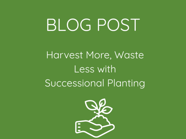 Harvest More, Waste Less with Successional Planting