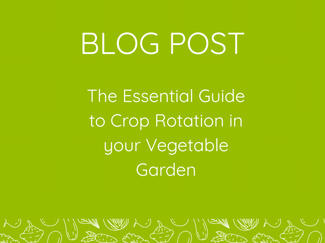 A Guide to Crop Rotation in your Vegetable Garden