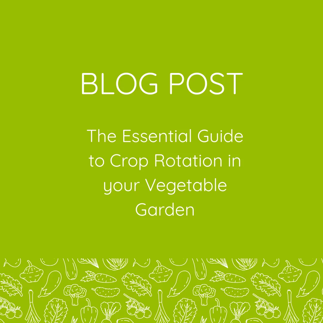 A Guide to Crop Rotation in your Vegetable Garden