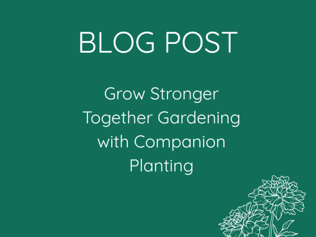Grow Stronger Together Gardening with Companion Planting