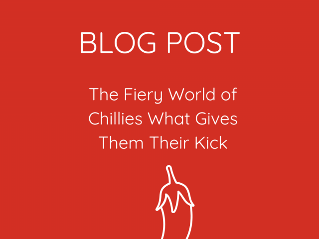 The Fiery World of Chillies What Gives Them Their Kick