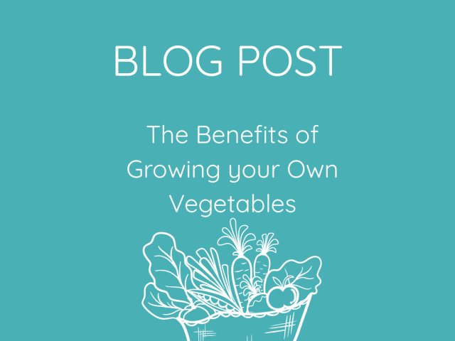 The Benefits of Growing your own Vegetables