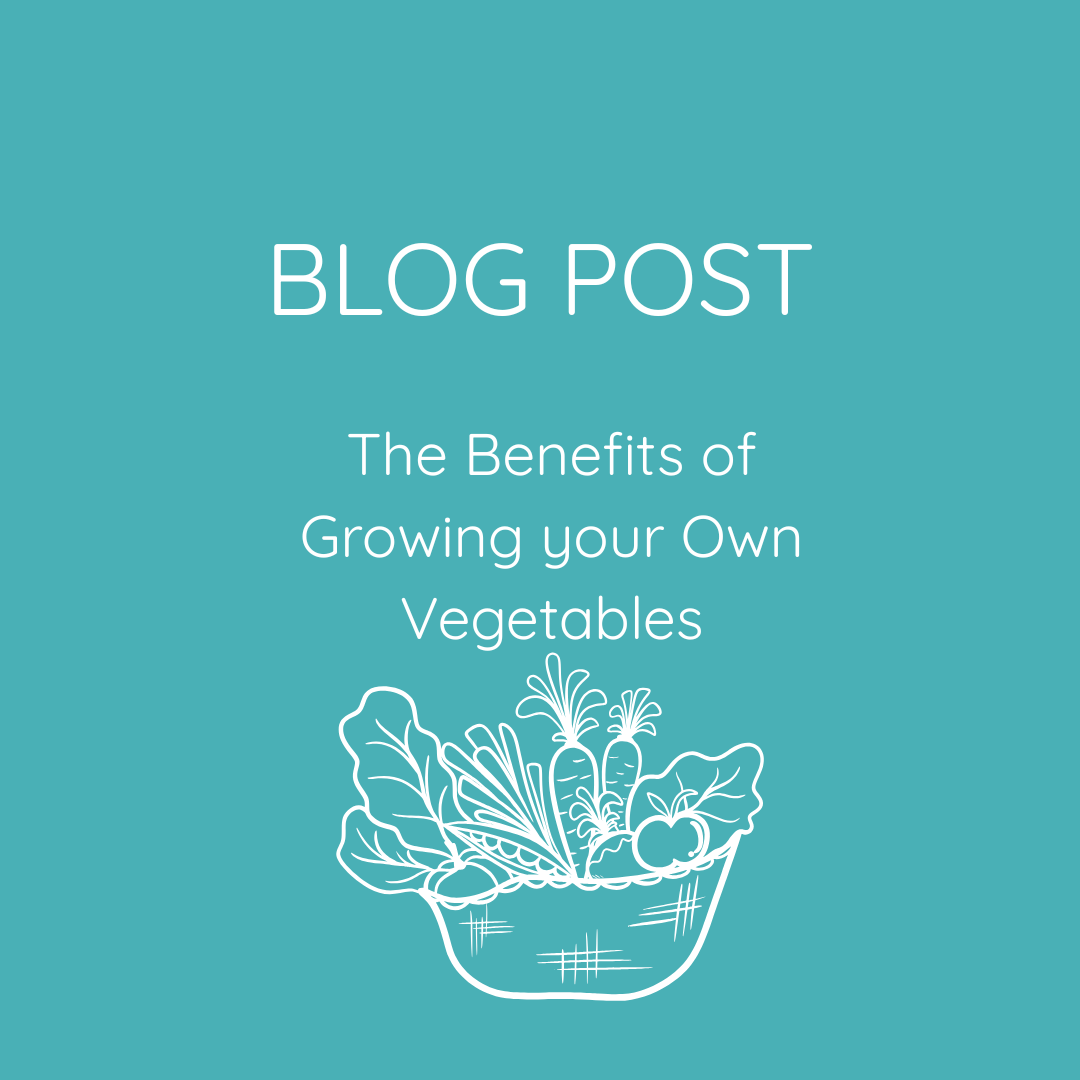 The Benefits of Growing your own Vegetables
