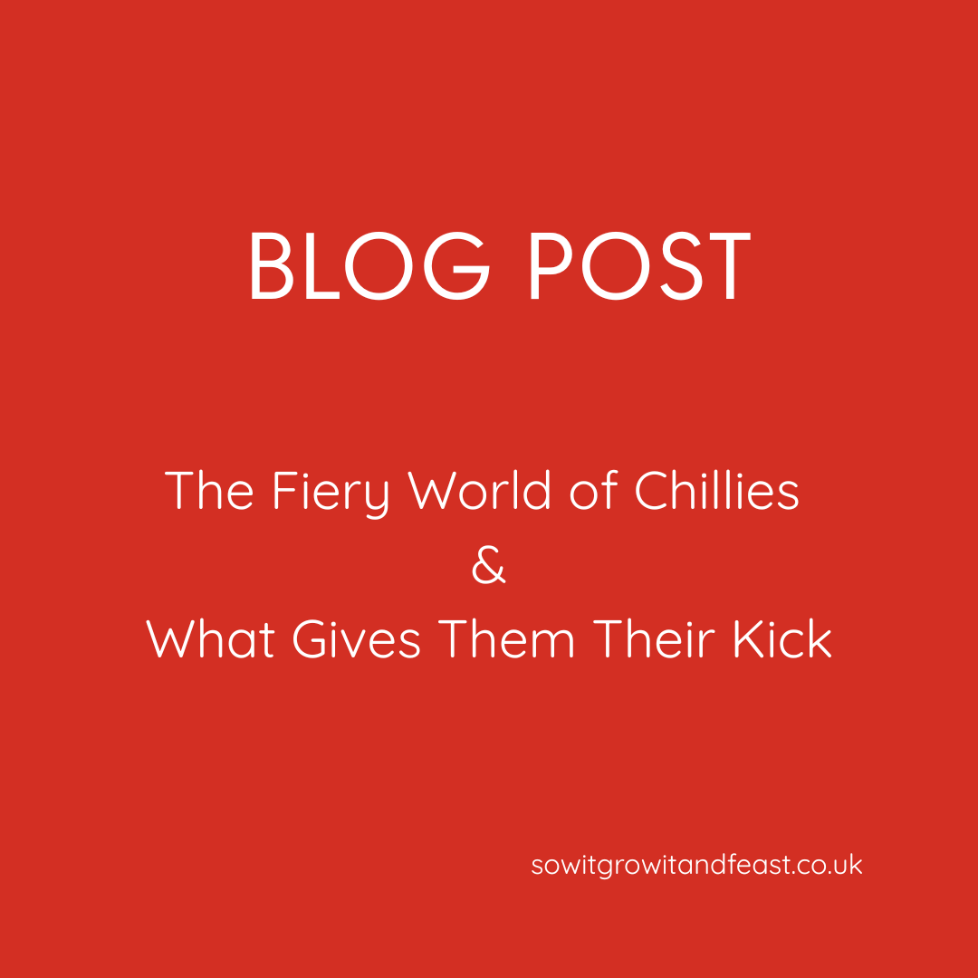 The Fiery World of Chillies What Gives Them Their Kick
