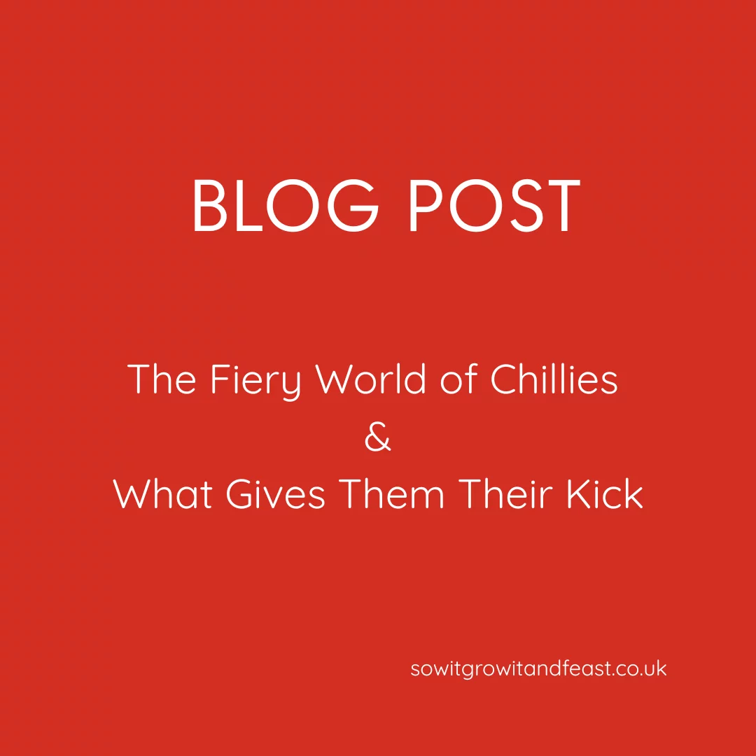 The Fiery World of Chillies What Gives Them Their Kick