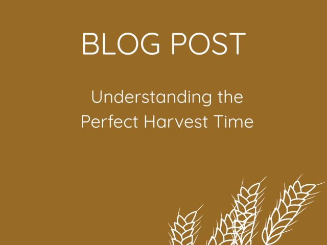 Understanding the Perfect Harvest Time