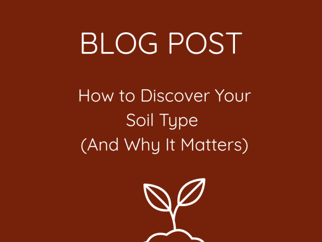 How to Discover Your Soil Type       (And Why It Matters)