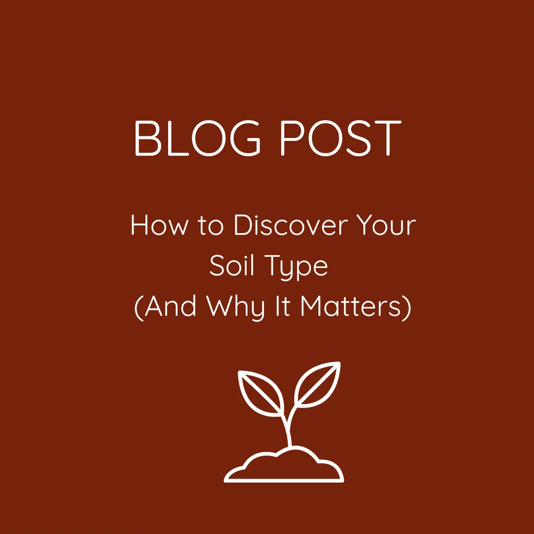 How to Discover Your Soil Type       (And Why It Matters)
