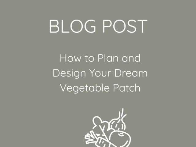 How to Plan and Design Your Dream Vegetable Patch