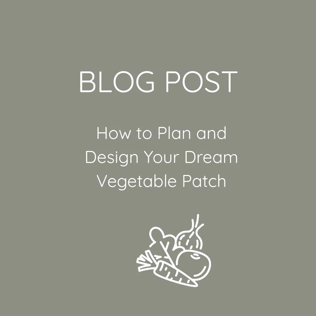 How to Plan and Design Your Dream Vegetable Patch