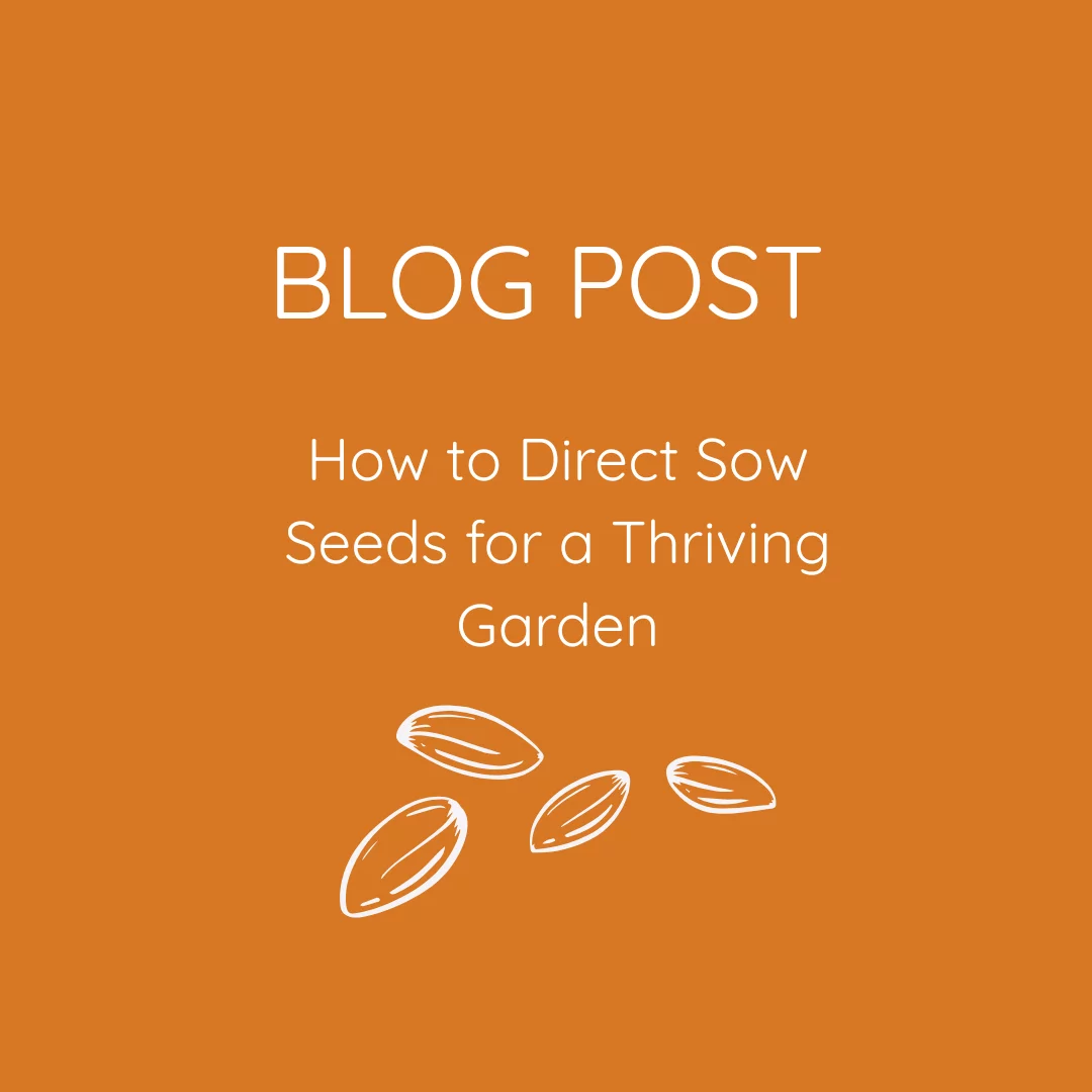 How to Direct Sow Seeds for a Thriving Garden