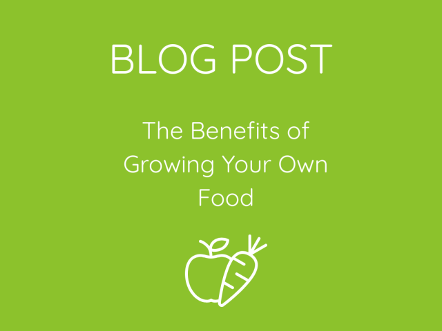The Benefits of Growing Your Own Food