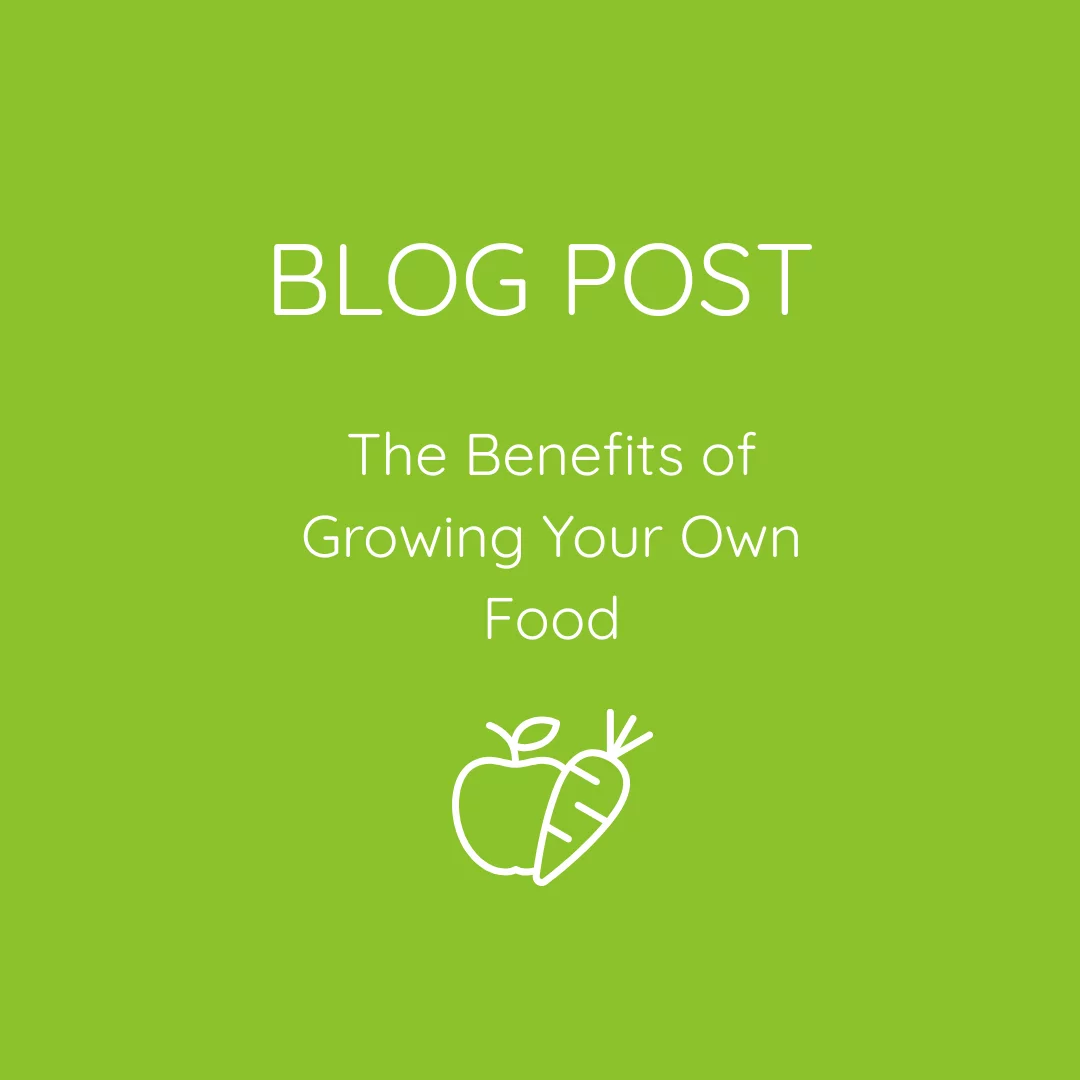 The Benefits of Growing Your Own Food