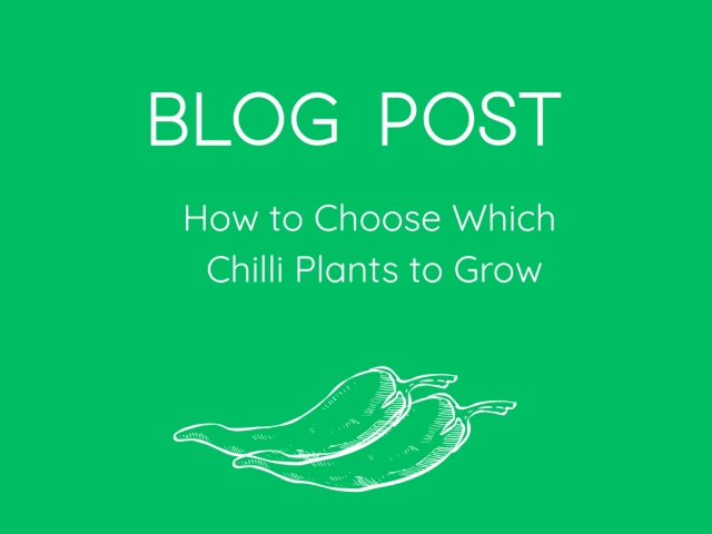 How to Choose Which Chilli Plants to Grow