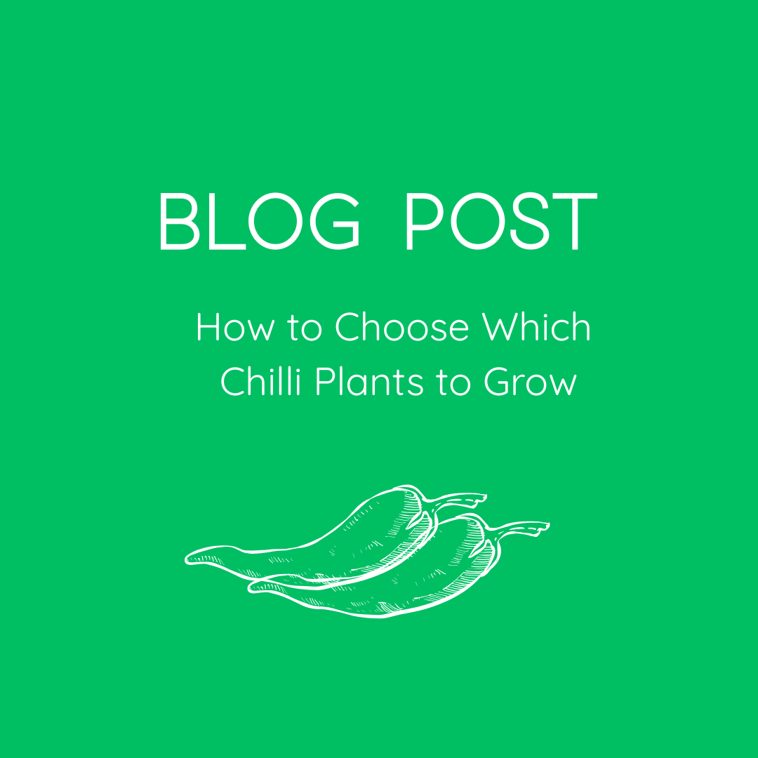 How to Choose Which Chilli Plants to Grow