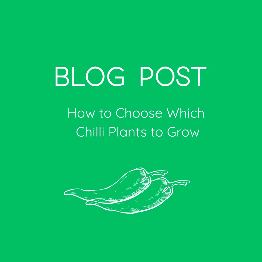 How to Choose Which Chilli Plants to Grow