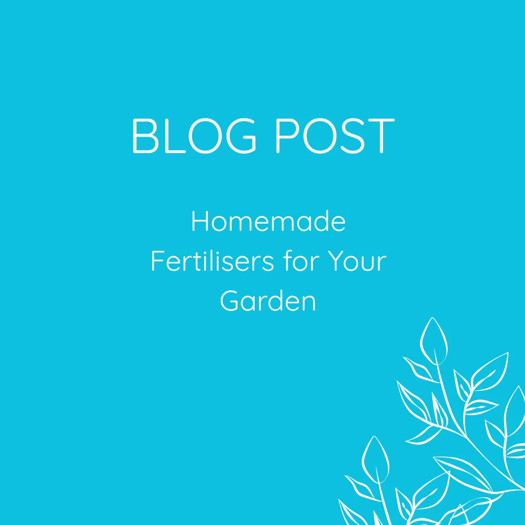 Homemade Fertilisers for Your Garden
