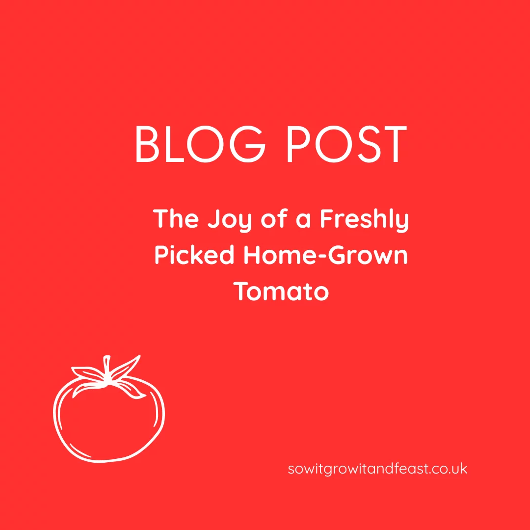 The Joy of a Freshly Picked Home-Grown Tomato