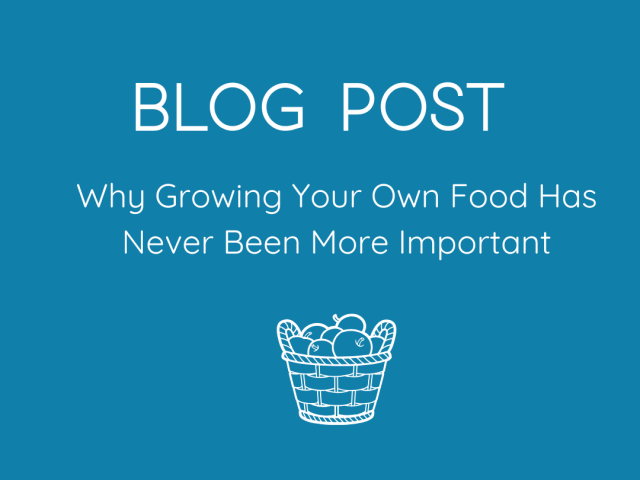 Why Growing Your Own Food Has Never Been More Important