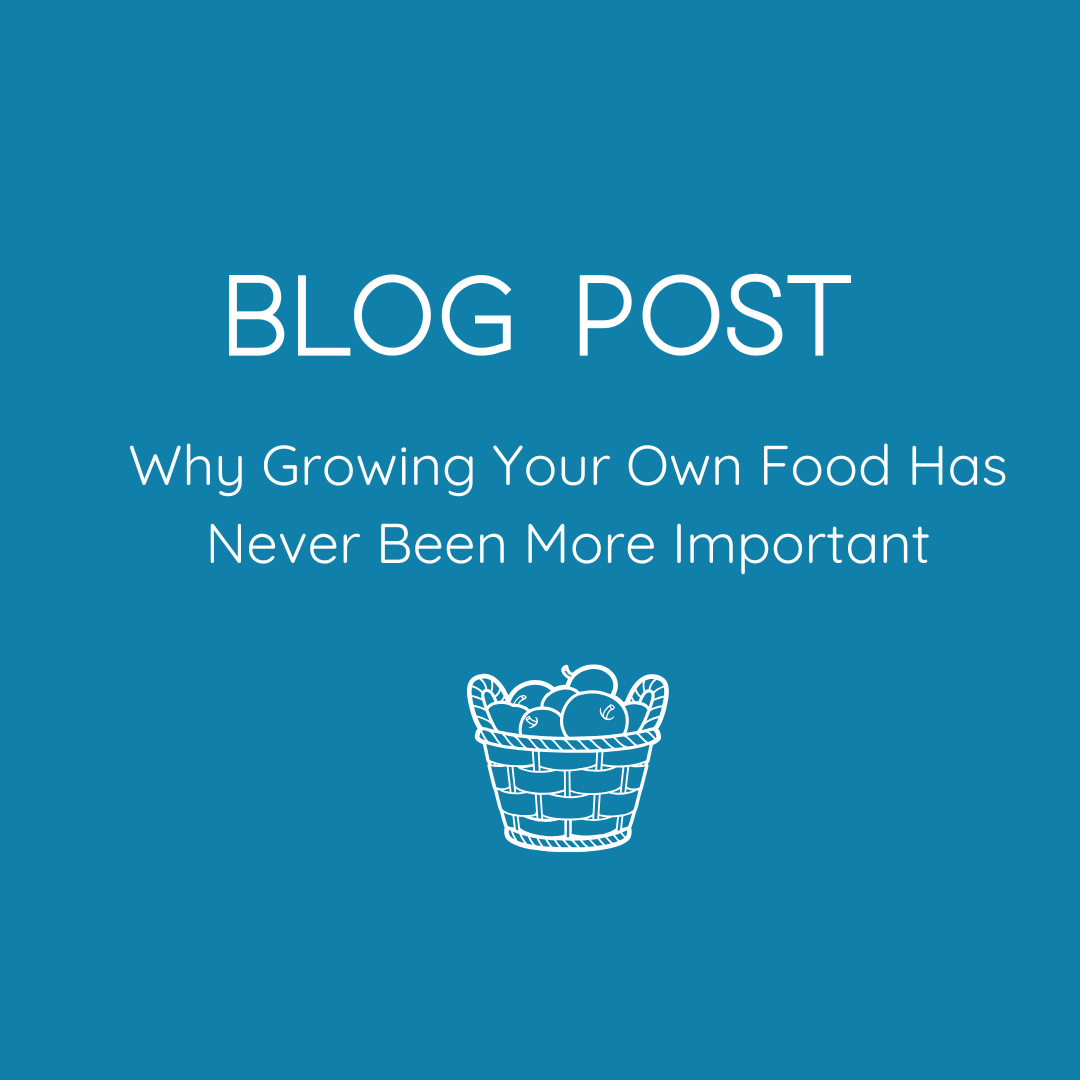 Blog Post. Why Growing your Own Food Has Never been More Important