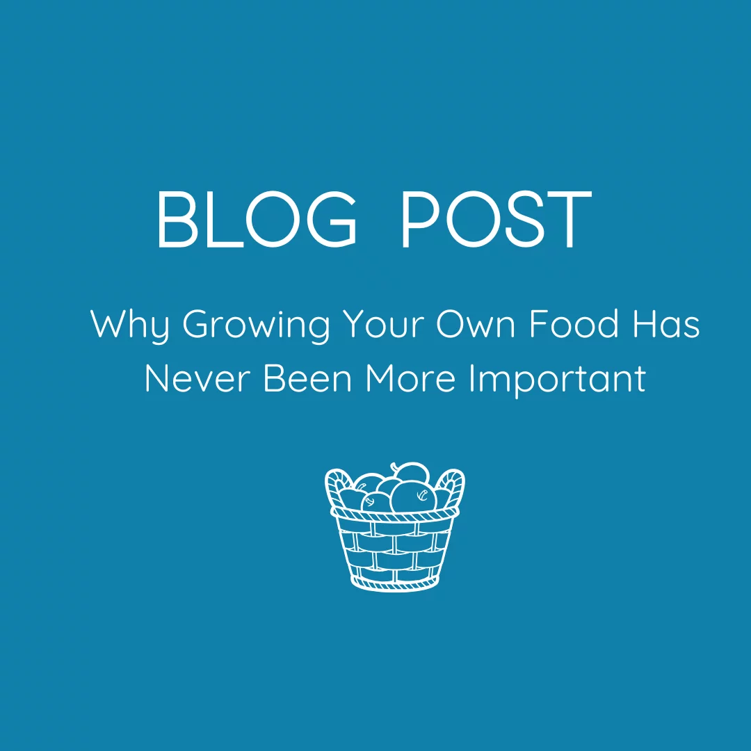 Blog Post. Why Growing your Own Food Has Never been More Important