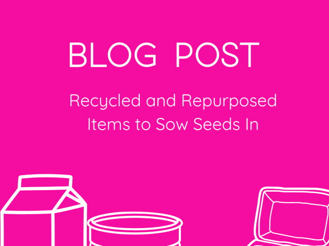 Recycled and Repurposed Items to Sow Seeds In