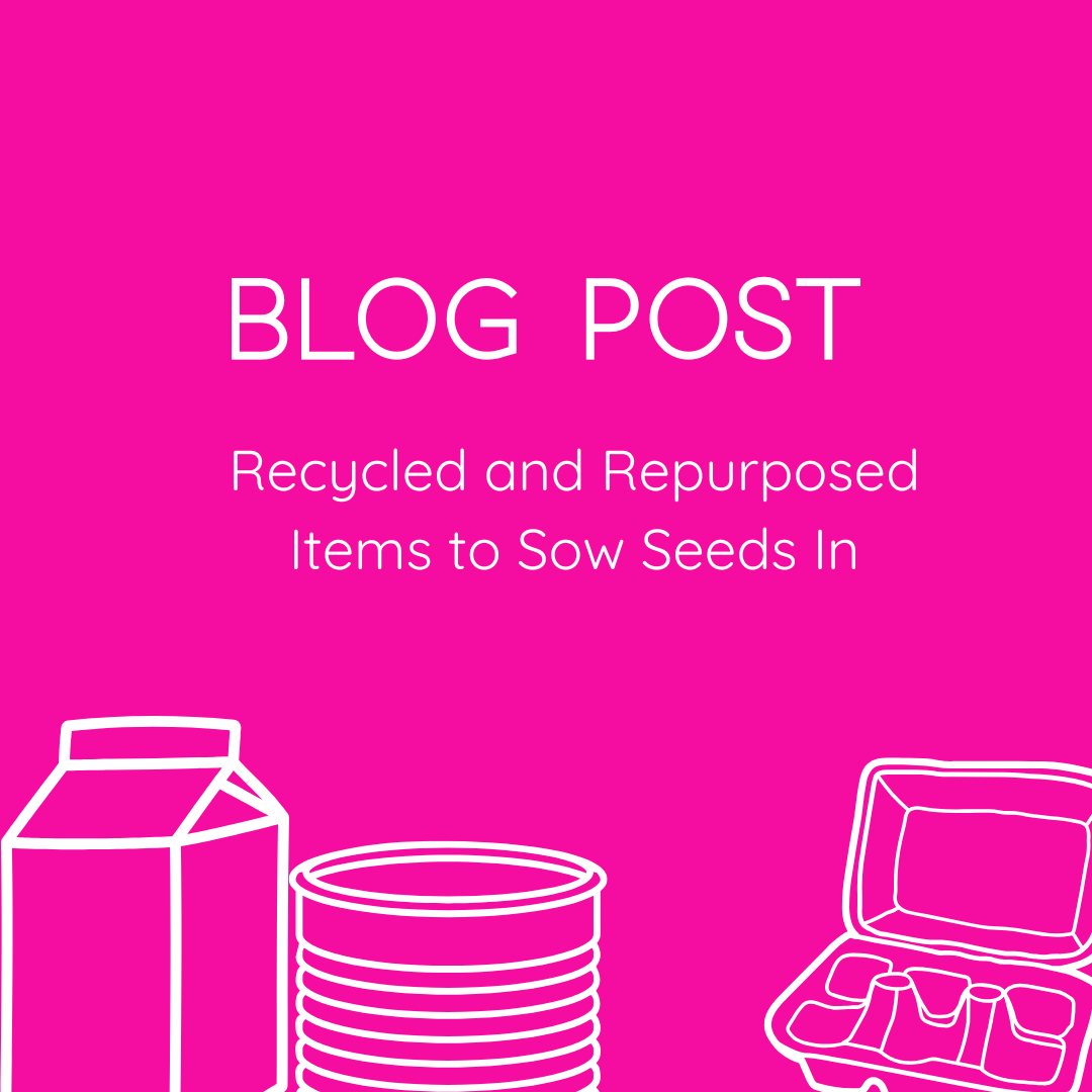 Blog Post. Recycled Items to Sow Seeds In