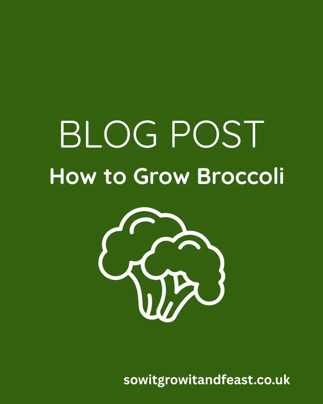 How to Grow Broccoli