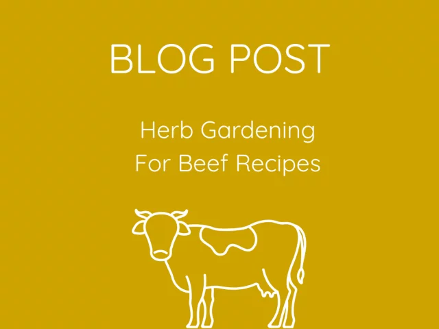 How to Grow Essential Herbs for Beef Recipe Cooking