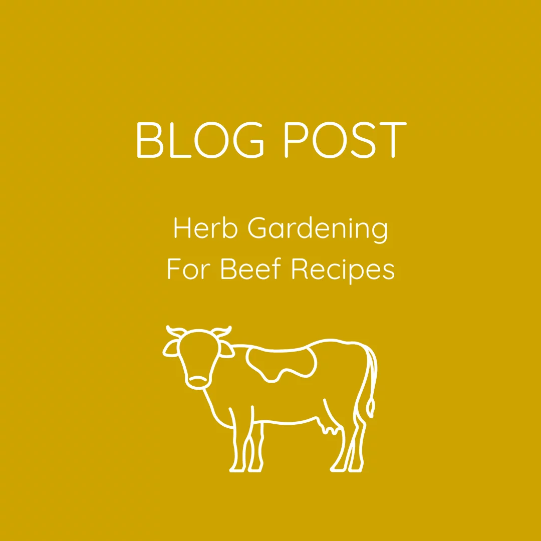 How to Grow Essential Herbs for Beef Recipe Cooking