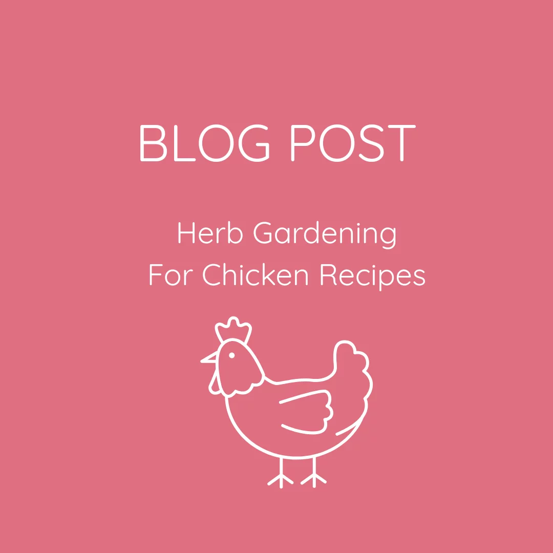 Herb Gardening for Chicken Recipes