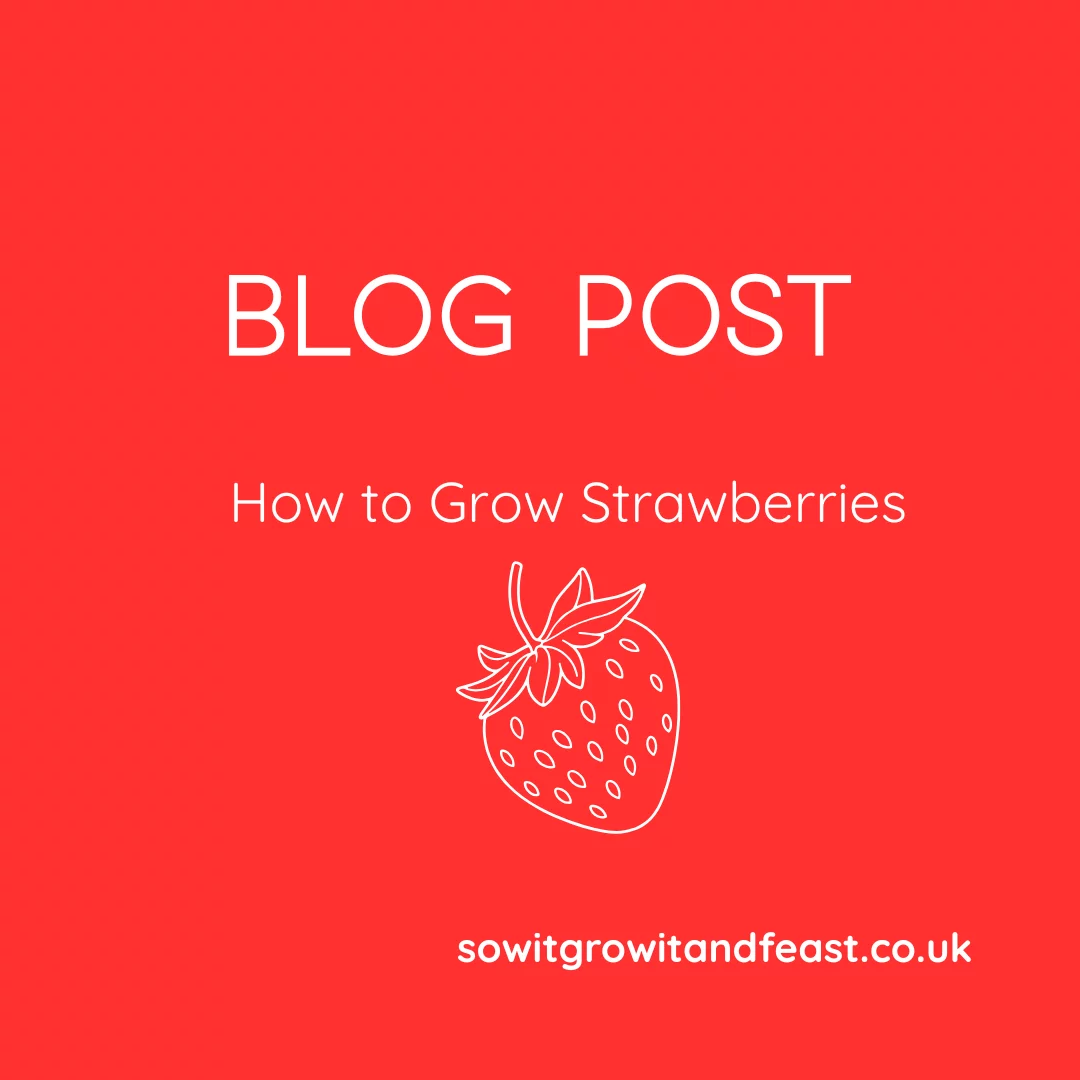 How to Grow Strawberries at Home
