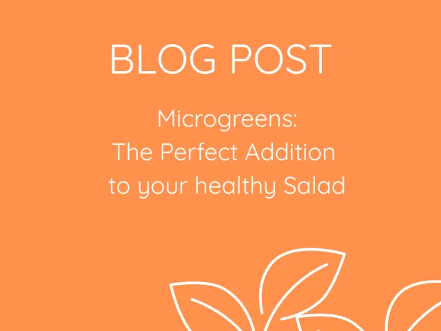 Microgreens: The Perfect Addition to Your Healthy Salad