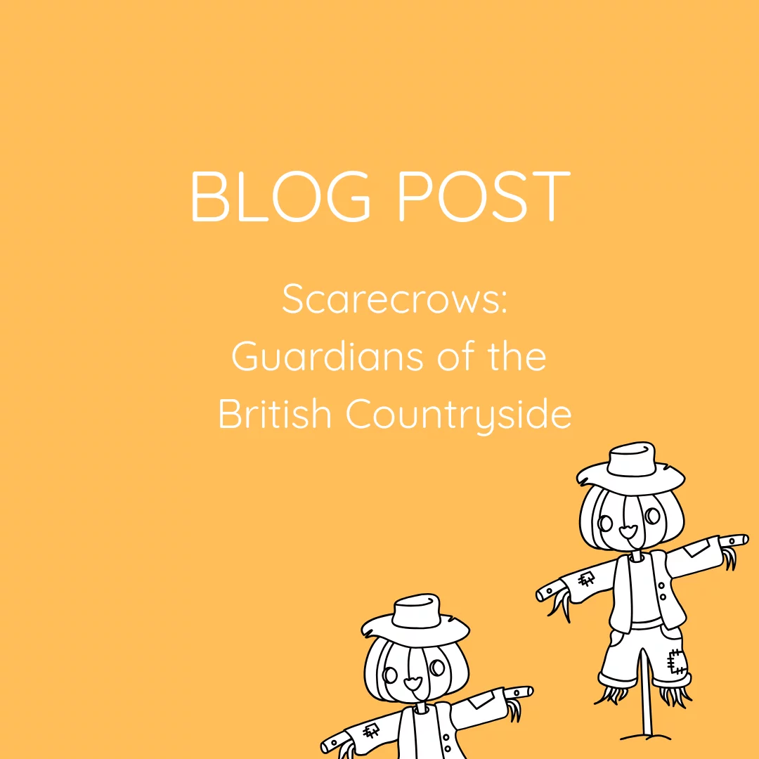 BLOG POST Scarecrows: Guardians of the British Countryside outline of a scarecrow