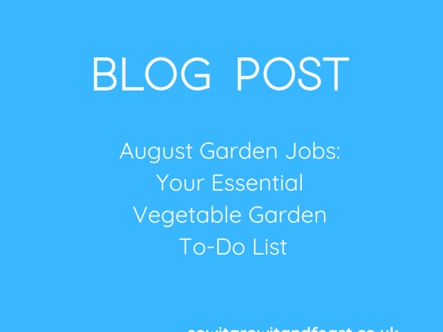 August Garden Jobs: Your Essential Vegetable Garden To-Do List