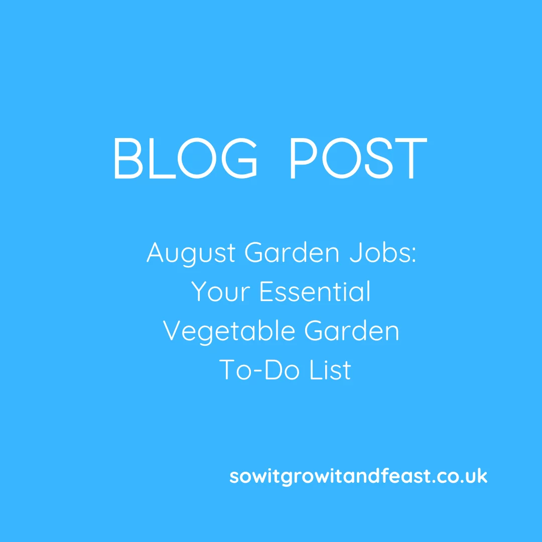 August Garden Jobs: Your Essential Vegetable Garden To-Do List