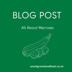 Blog Post. All About Marrows. Outline of Marrow. sowitgrowitandfeast.co.uk