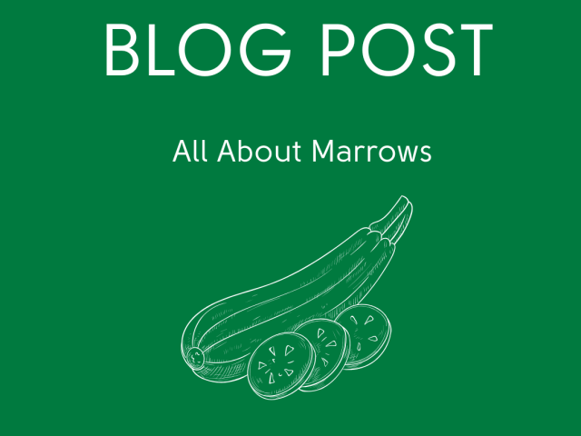 All About Marrows