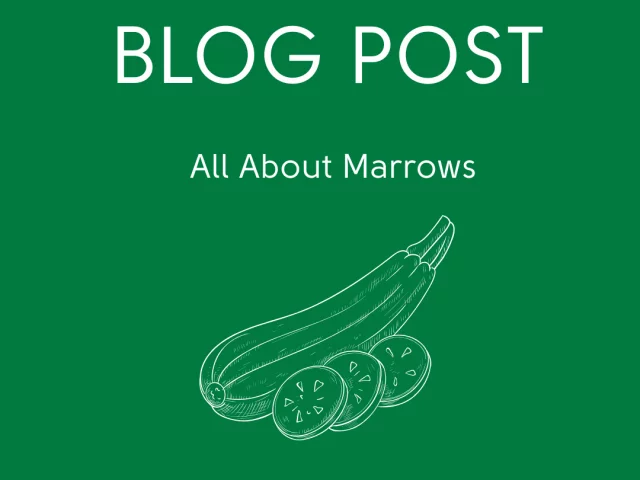 All About Marrows