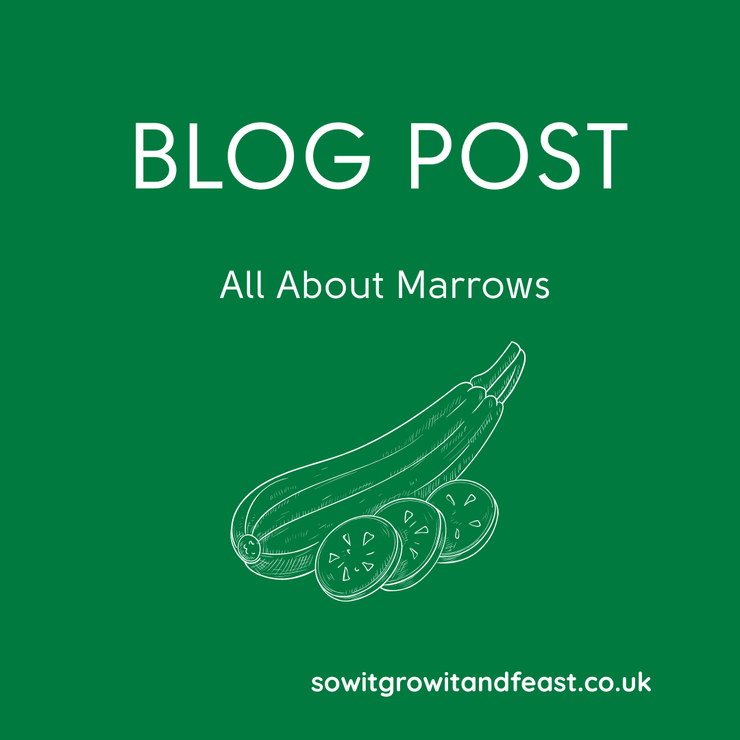 Blog Post. All About Marrows. Outline of Marrow. sowitgrowitandfeast.co.uk
