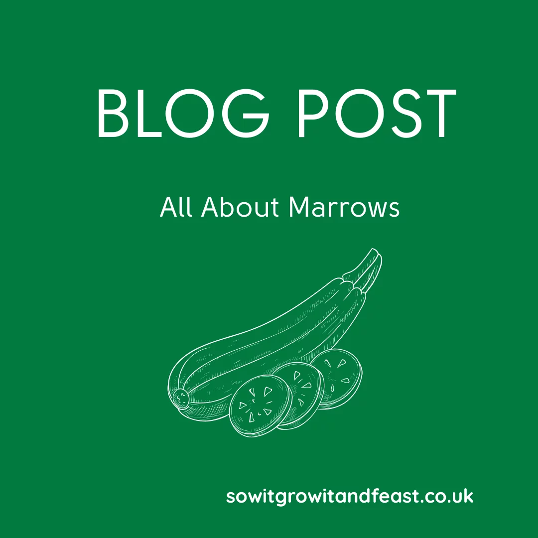 All About Marrows