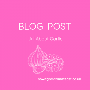 Blog Post. All About Garlic.