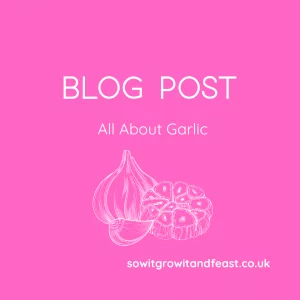 Blog Post. All About Garlic.