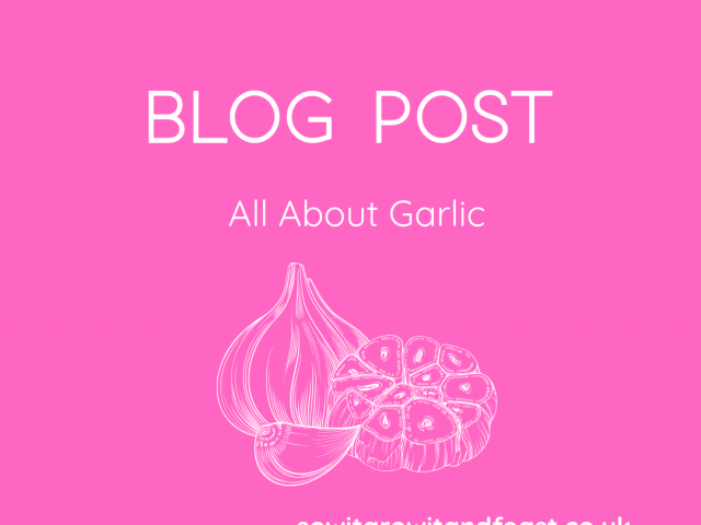 Your Complete Guide to Growing Garlic