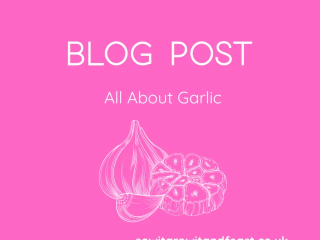 Your Complete Guide to Growing Garlic