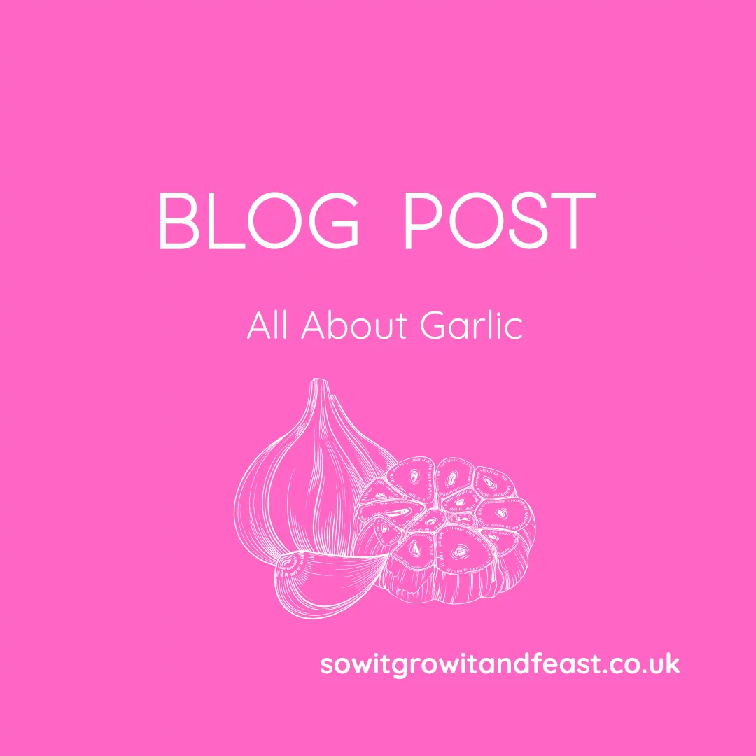 Blog Post. All About Garlic.