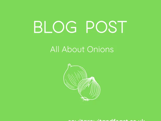 All About Onions