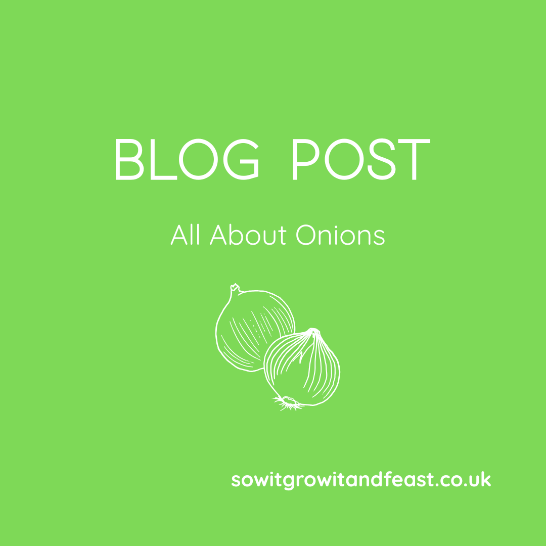 Blog Post. All About Onions.