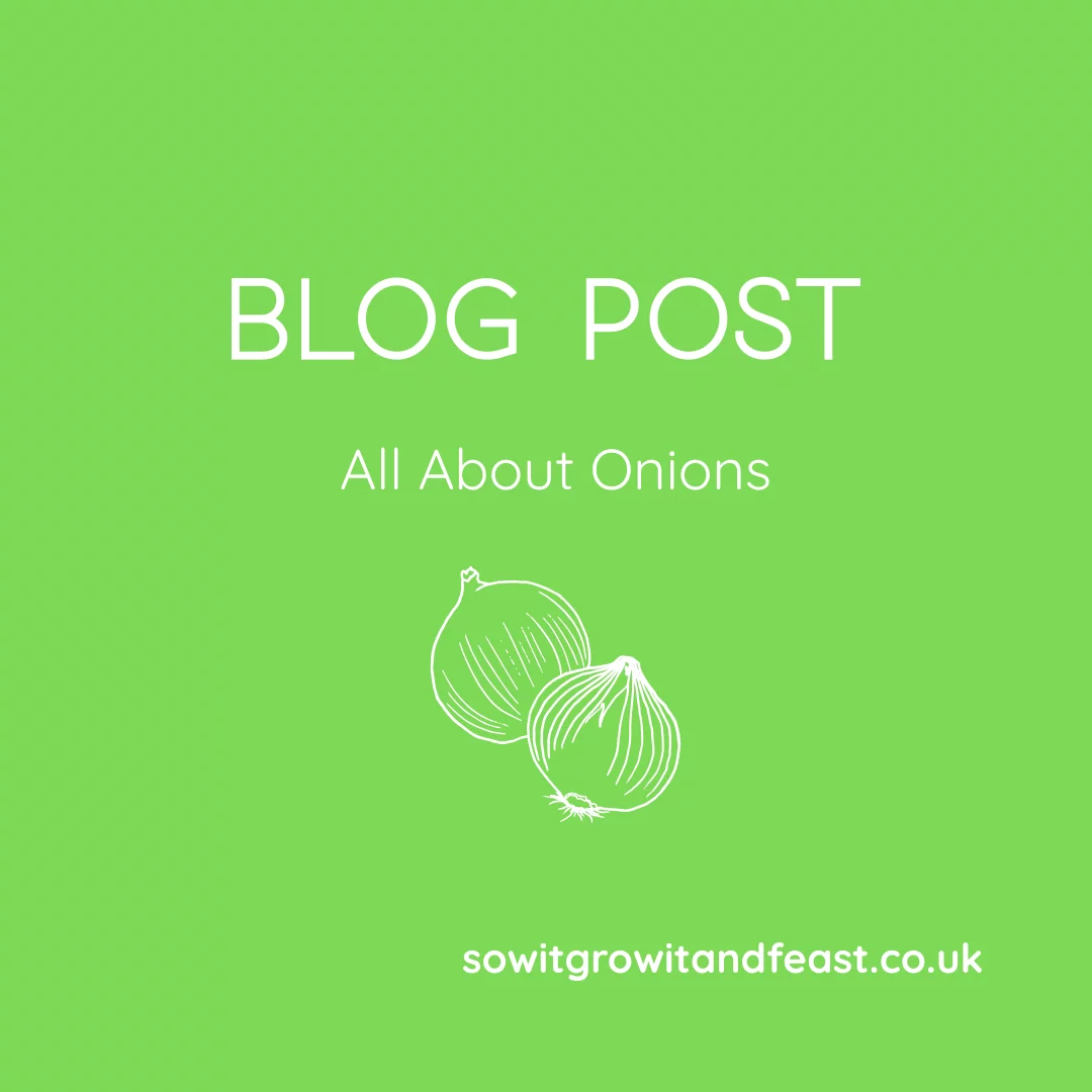 Blog Post. All About Onions.