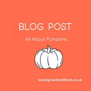 Blog Post. All About Pumpkins